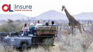 Aviva Travel Insurance Protecting Your Adventures